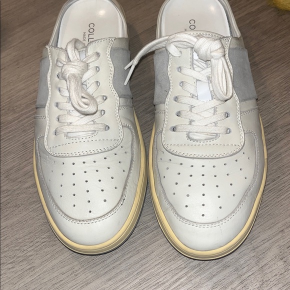 Collegium - Picture 2 of 8